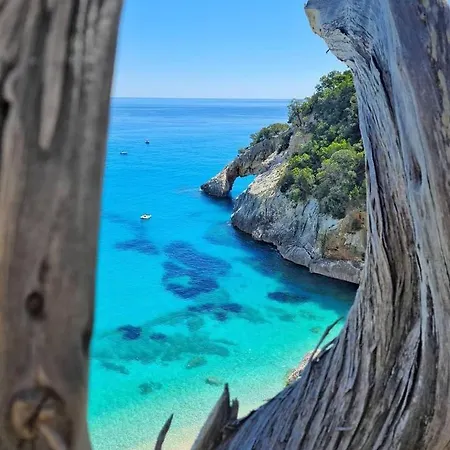 La Corte Dei Baroni *